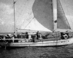 The YASME III